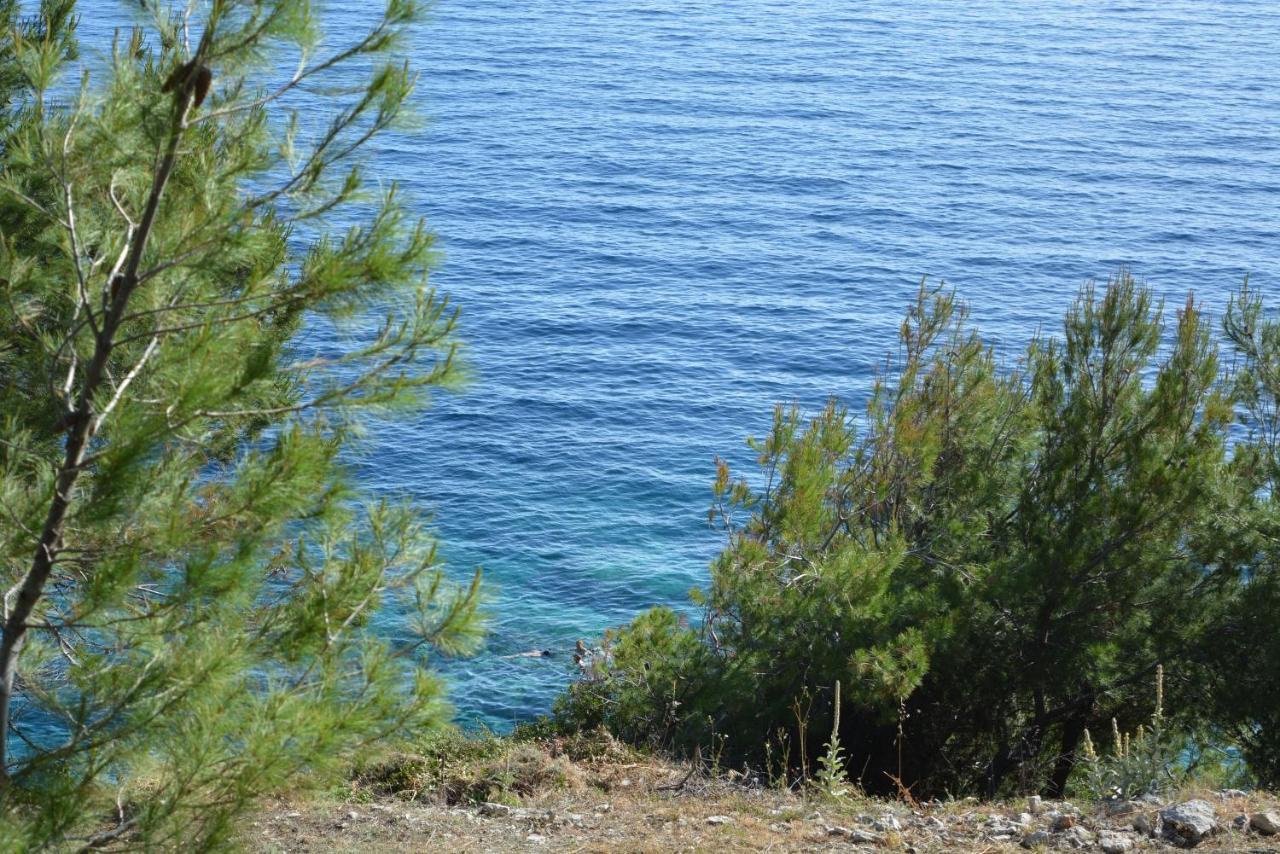 Apartments Rotim, Mljet, Sutmiholjska Babino Polje Exterior photo